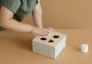 LITTLE DUTCH. Shape Sorter Little Goose 13