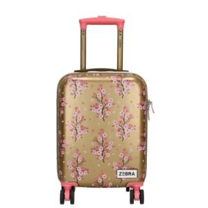 ΒΑΛΙΤΣΑ ΤΡΟΛΕΥ GOLD 20L